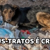 Tutor é condenado por maus-tratos