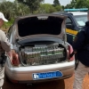 Apreendidos 10.000 maços de cigarros contrabandeados
