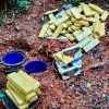 Polícia Civil desenterra drogas em área de mata