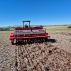 Inicia período recomendado ao plantio de trigo no RS