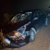 Boi atropelado e disparos de arma de fogo na ERS 155