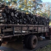 PATRAM flagra transporte ilegal de lenha nativa