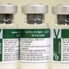 Suspenso uso da vacina da dengue do Butantan