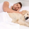Dormir com o pet faz mal?