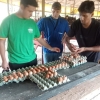 Projeto em aviário da Guaramano é destaque estadual