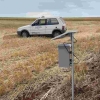 Ampliado monitoramento da ferrugem asiática da soja