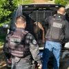 Polícia prende suspeito de ter praticado roubo 